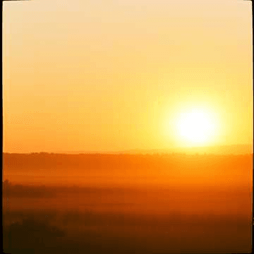 Rise with the Dawn